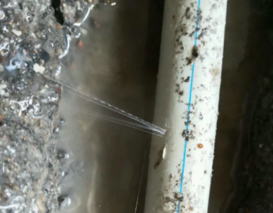 北安测漏水哪家好