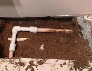 北安测漏水哪家好