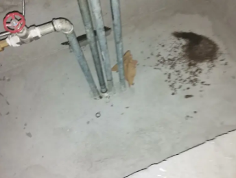 北安卫生间测漏水价格明细