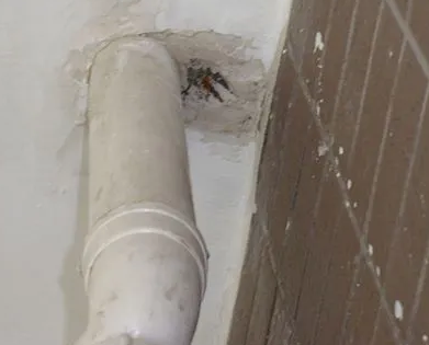 北安漏水检测哪家好